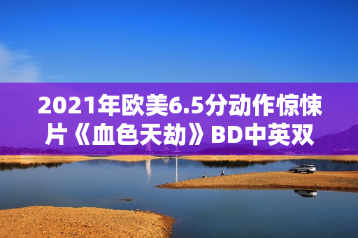 2021年欧美6.5分动作惊悚片《血色天劫》BD中英双字