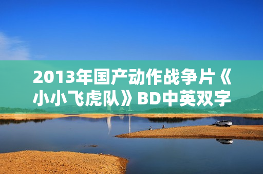 2013年国产动作战争片《小小飞虎队》BD中英双字