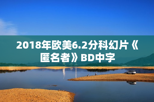 2018年欧美6.2分科幻片《匿名者》BD中字