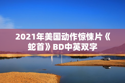 2021年美国动作惊悚片《蛇首》BD中英双字