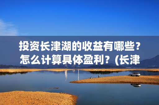 投资长津湖的收益有哪些？怎么计算具体盈利？(长津湖投资收益)