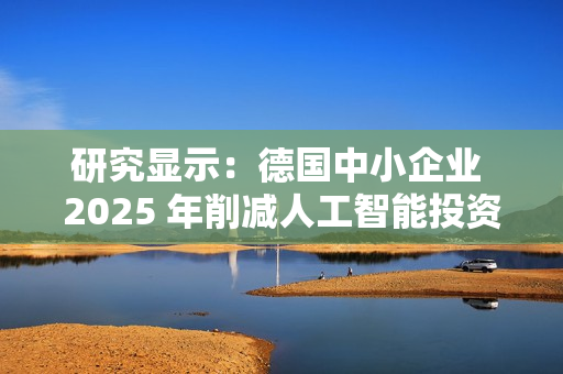 研究显示：德国中小企业 2025 年削减人工智能投资