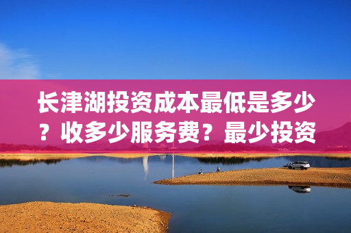 长津湖投资成本最低是多少？收多少服务费？最少投资多少钱？(长津湖投资成本高吗)
