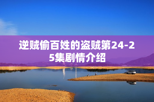 逆贼偷百姓的盗贼第24-25集剧情介绍