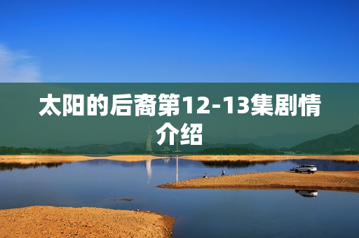 太阳的后裔第12-13集剧情介绍