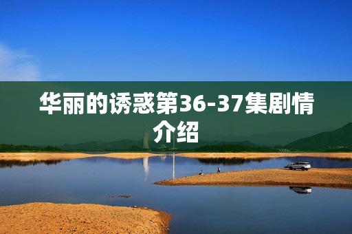 华丽的诱惑第36-37集剧情介绍