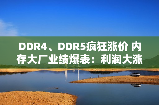 DDR4、DDR5疯狂涨价 内存大厂业绩爆表：利润大涨1500%!