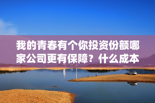 我的青春有个你投资份额哪家公司更有保障？什么成本？投资收益多少？(我的青春有个你演员表)