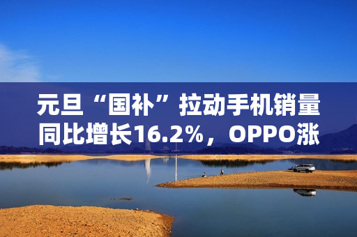 元旦“国补”拉动手机销量同比增长16.2%，OPPO涨幅32.4%位列第 一