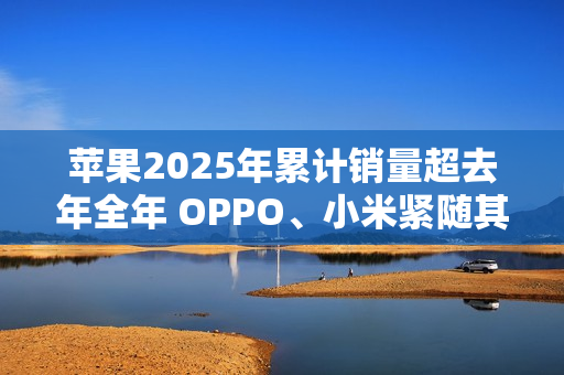 苹果2025年累计销量超去年全年 OPPO、小米紧随其后