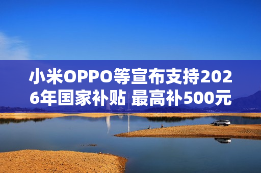 小米OPPO等宣布支持2026年国家补贴 最高补500元！