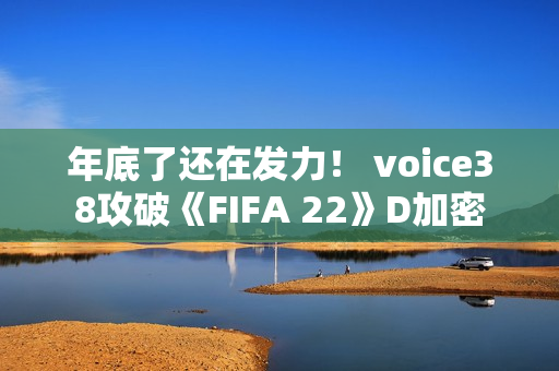 年底了还在发力！ voice38攻破《FIFA 22》D加密