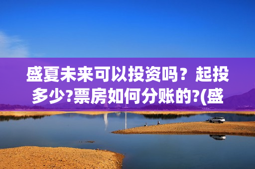 盛夏未来可以投资吗？起投多少?票房如何分账的?(盛夏未来赚钱了吗)