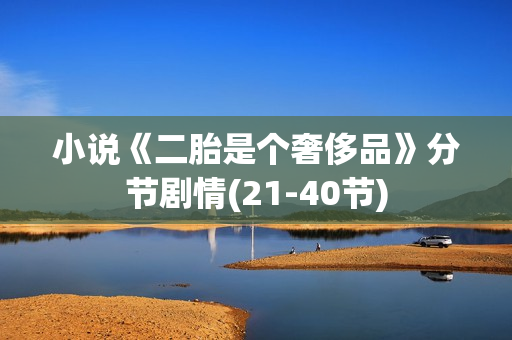 小说《二胎是个奢侈品》分节剧情(21-40节)