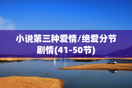 小说第三种爱情/绝爱分节剧情(41-50节)