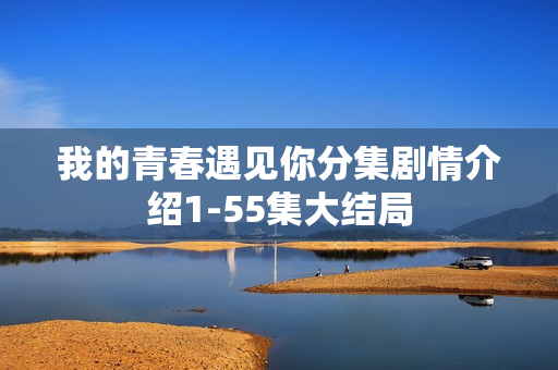 我的青春遇见你分集剧情介绍1-55集大结局