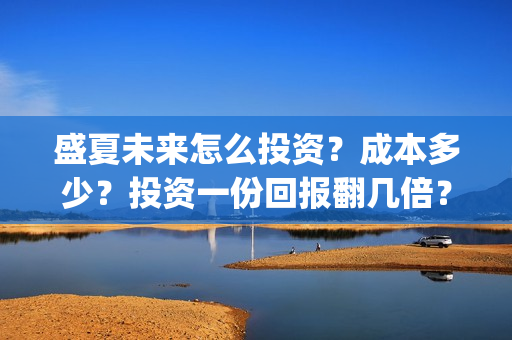 盛夏未来怎么投资？成本多少？投资一份回报翻几倍？(盛夏未来怎么买票)