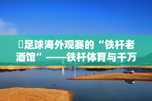 ​足球海外观赛的“铁杆老酒馆”——铁杆体育与千万球迷的十年