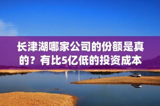 长津湖哪家公司的份额是真的？有比5亿低的投资成本吗？(长津湖有几家出品公司)