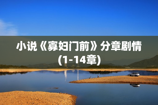 小说《寡妇门前》分章剧情(1-14章)