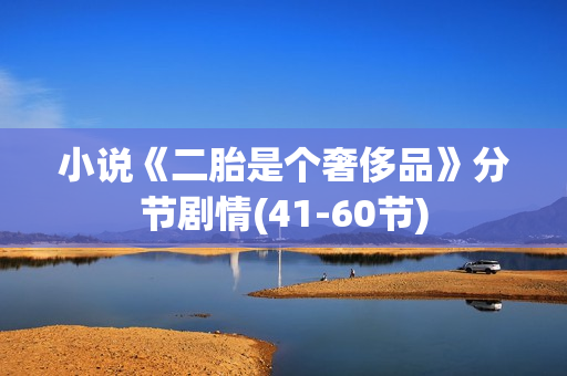 小说《二胎是个奢侈品》分节剧情(41-60节)