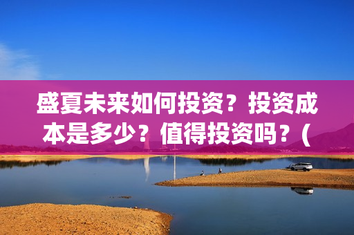 盛夏未来如何投资？投资成本是多少？值得投资吗？(盛夏未来可以投资吗)