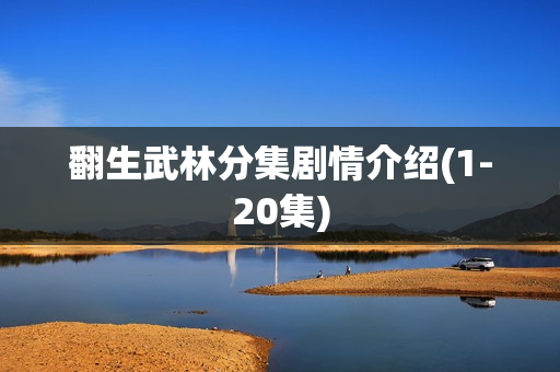 翻生武林分集剧情介绍(1-20集)