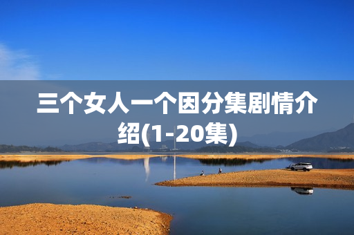 三个女人一个因分集剧情介绍(1-20集)
