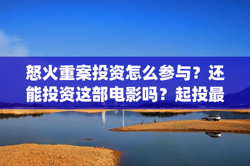 怒火重案投资怎么参与？还能投资这部电影吗？起投最低多少？(怒火重案投了多少钱)