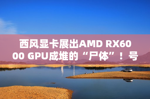 西风显卡展出AMD RX6000 GPU成堆的“尸体”！号称从不拒保