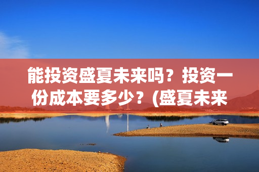 能投资盛夏未来吗？投资一份成本要多少？(盛夏未来电影投资项目)