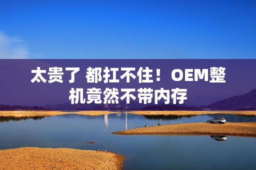 太贵了 都扛不住！OEM整机竟然不带内存