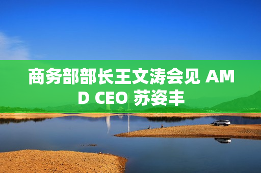 商务部部长王文涛会见 AMD CEO 苏姿丰