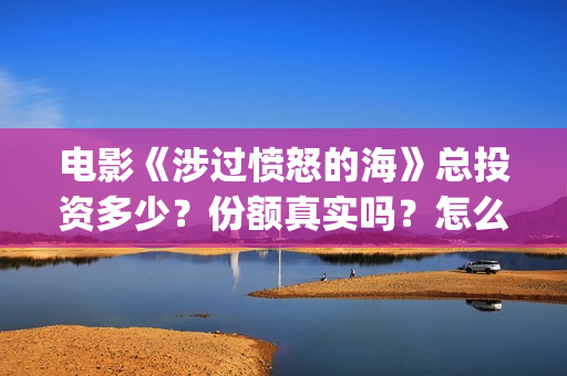 电影《涉过愤怒的海》总投资多少？份额真实吗？怎么参与投资？成本多(电影《涉过愤怒的海》免费观看)