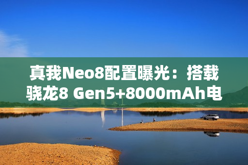 真我Neo8配置曝光：搭载骁龙8 Gen5+8000mAh电池