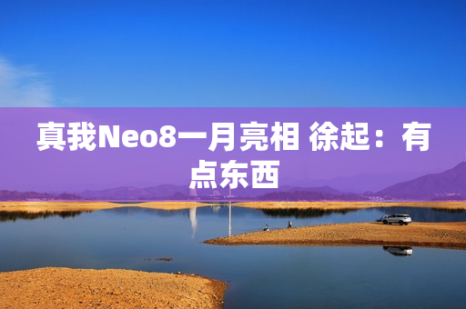 真我Neo8一月亮相 徐起：有点东西