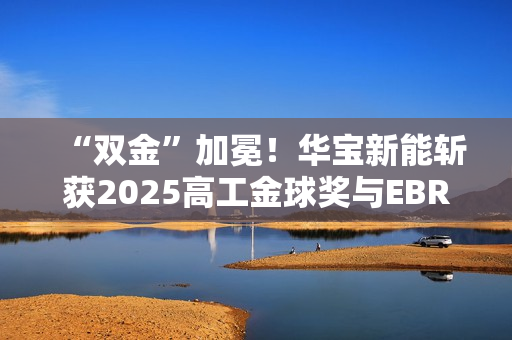 “双金”加冕！华宝新能斩获2025高工金球奖与EBRUN全球好物金奖