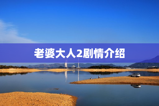 老婆大人2剧情介绍