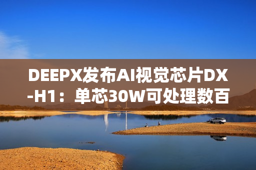 DEEPX发布AI视觉芯片DX-H1：单芯30W可处理数百路视频流