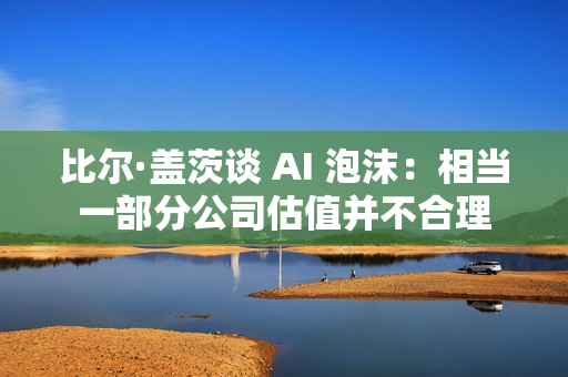 比尔·盖茨谈 AI 泡沫：相当一部分公司估值并不合理