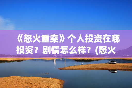 《怒火重案》个人投资在哪投资？剧情怎么样？(怒火重案太燃了)
