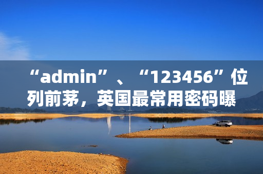 “admin”、“123456”位列前茅，英国最常用密码曝光