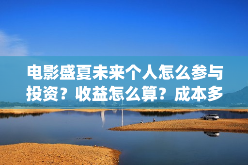 电影盛夏未来个人怎么参与投资？收益怎么算？成本多少？(《盛夏未来》电影)