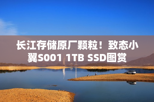 长江存储原厂颗粒！致态小翼S001 1TB SSD图赏