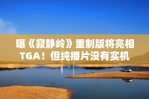 曝《寂静岭》重制版将亮相TGA！但纯播片没有实机