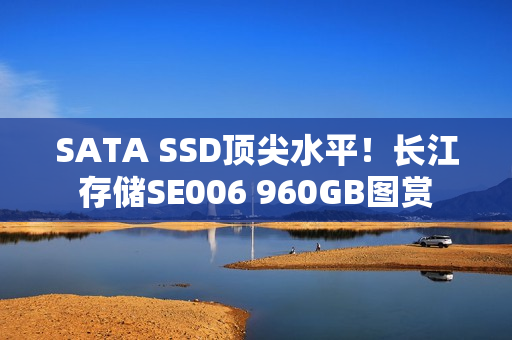 SATA SSD顶尖水平！长江存储SE006 960GB图赏
