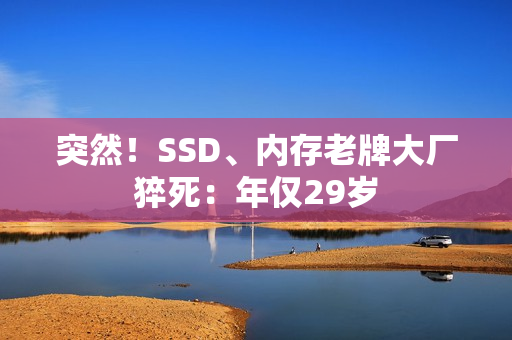突然！SSD、内存老牌大厂猝死：年仅29岁