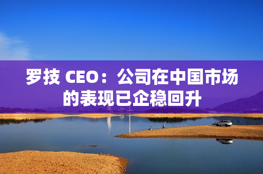 罗技 CEO：公司在中国市场的表现已企稳回升