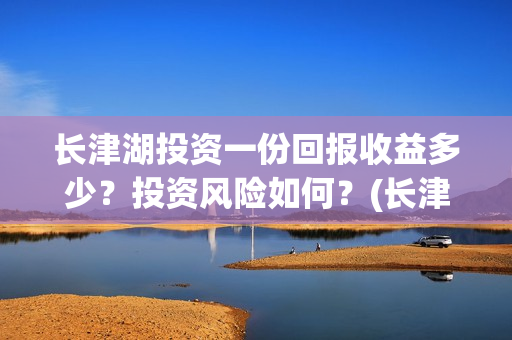 长津湖投资一份回报收益多少？投资风险如何？(长津湖最大投资方)