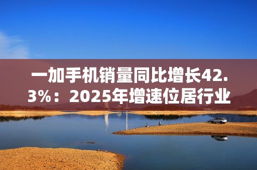 一加手机销量同比增长42.3%：2025年增速位居行业第一